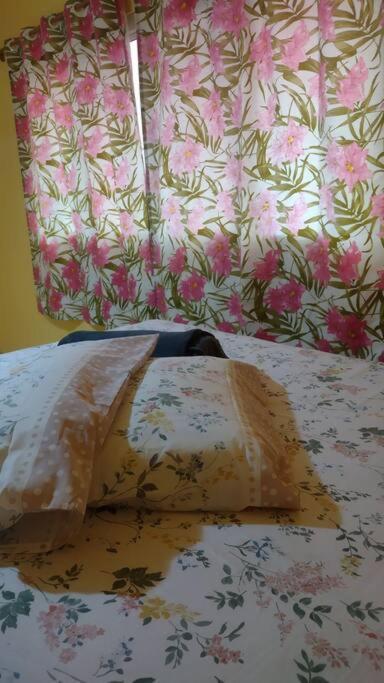Confortavel, Na Avenida Apartment